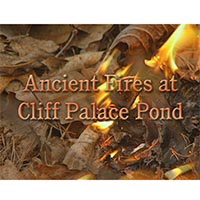 home_0004_thumb_0009_ancient-fire
