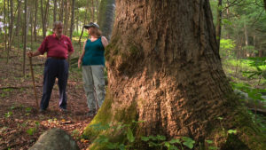 LB_Lilly_Cornette_Woods_02_web